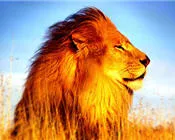 e8mx0t684zilotbemnos9e6xe 18238