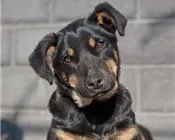 ed954unilh5uffqdca1i2rdmr 58377