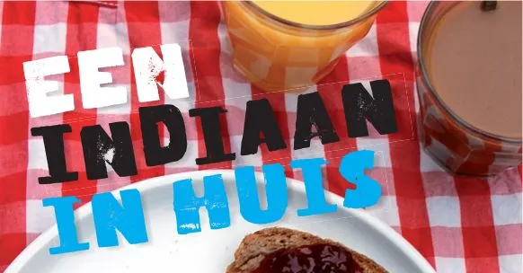 eenindiaaninhuis