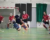 ffp8ow0mf64qg0prle7pdxeku 37688