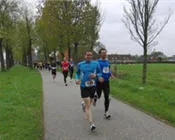 fg5725novxq6m18fcx02wsccx 23295