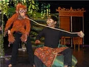 fj0inbhkfozqt2wrab3dlcqj6 40535