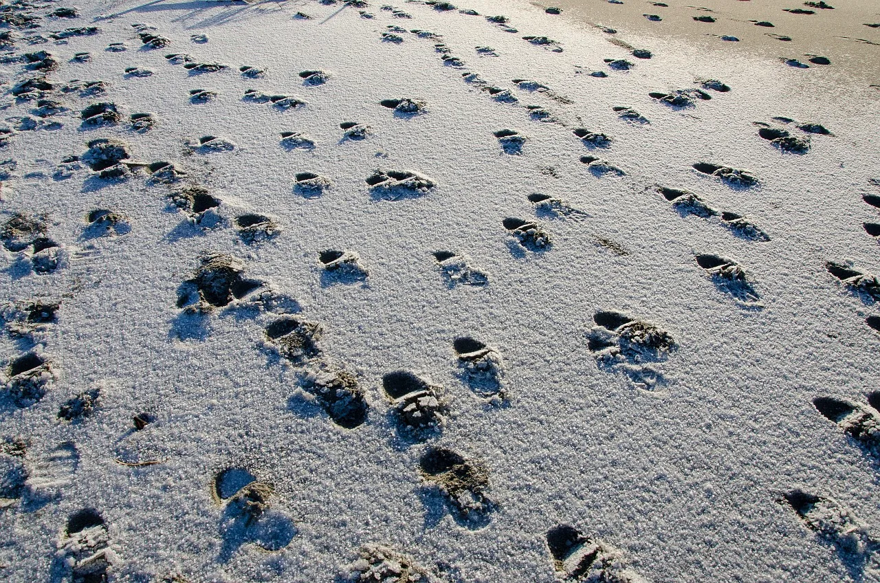 footsteps 963168 1280