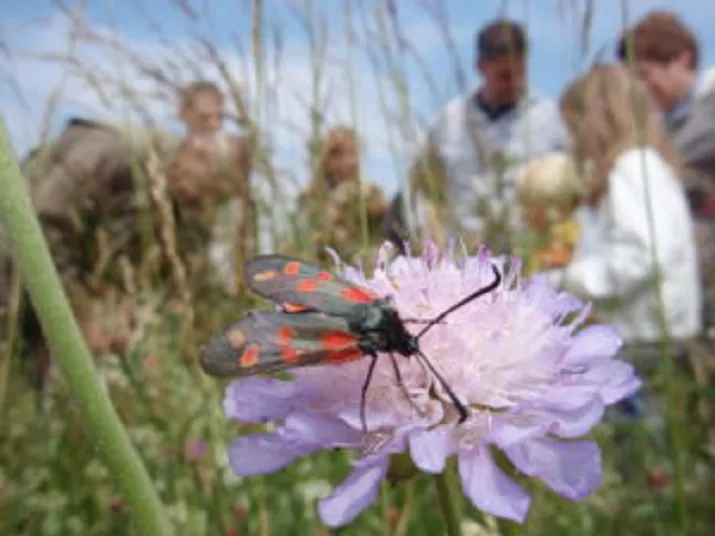 fotodijkm2016 09 04plantenexcursie 300x225