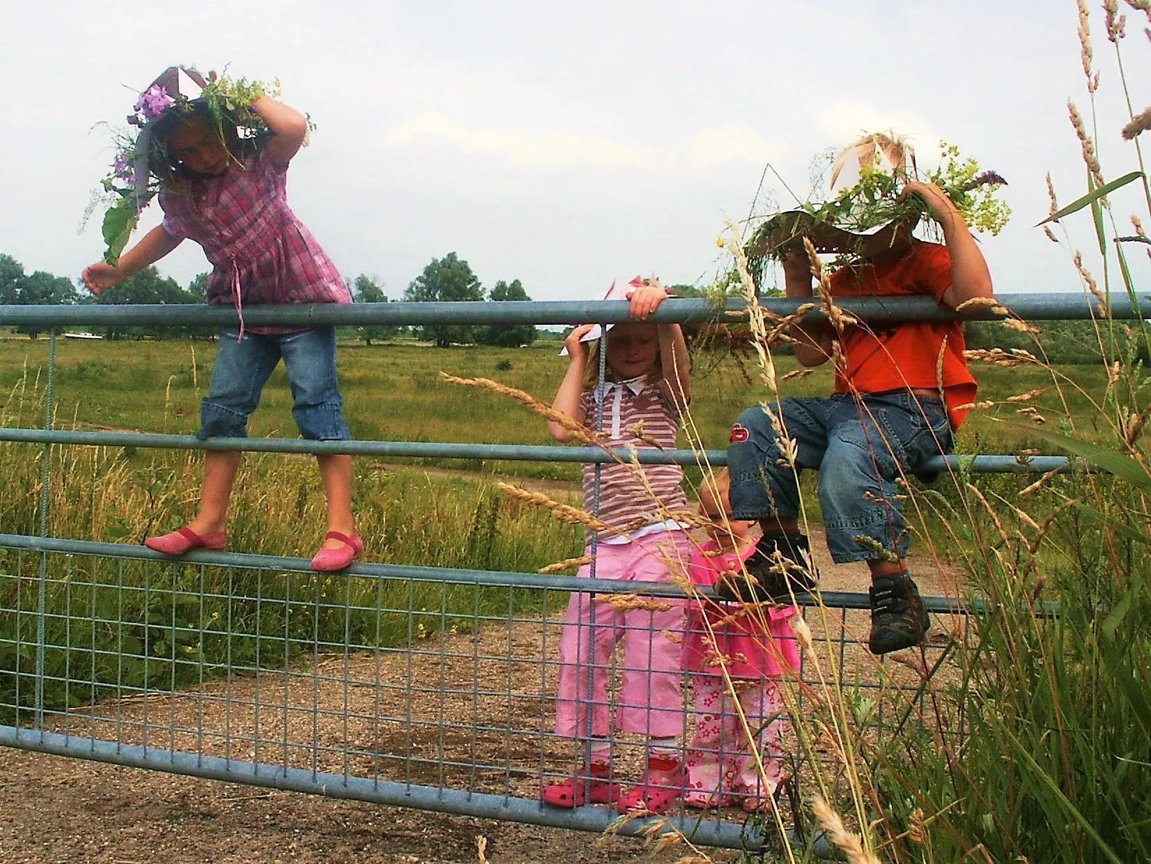 fotodijkm2023 06 21bloemenhoedjes