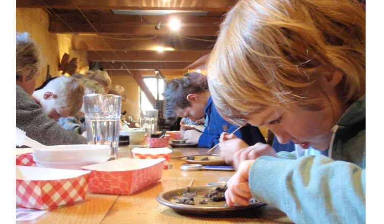 fotodijkmagazijn2017 02 15uilenballenpluis