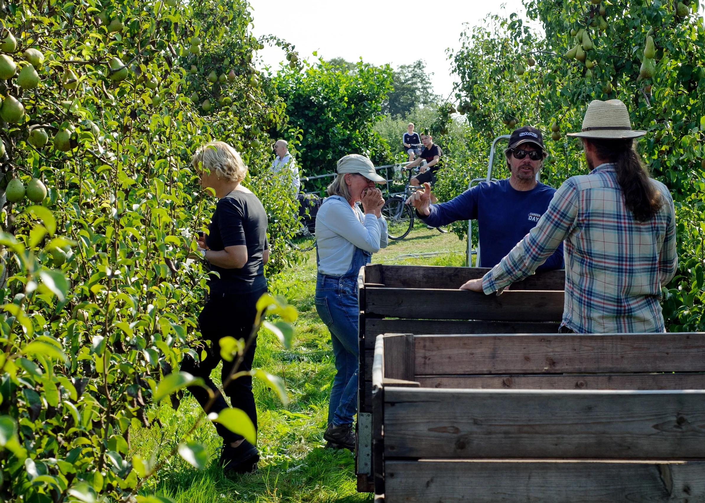 frank thijs joke plukkers in rij fietsers op achtergrond klein