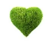 fxznw7j65z6ywomkvntcw3ors 61240