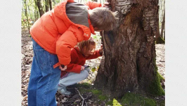 g19kkn8a5om9vh7wyywymcf8t overwinterhulp