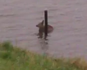 ge9wnrpqaw54ij737ggck7sxe 107340