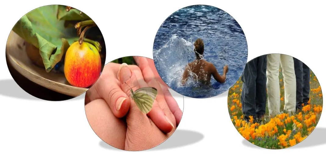 gezond aan de waal inspiratie caf