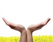 gg30docbqrygi3zvs59t8wpqj 59971