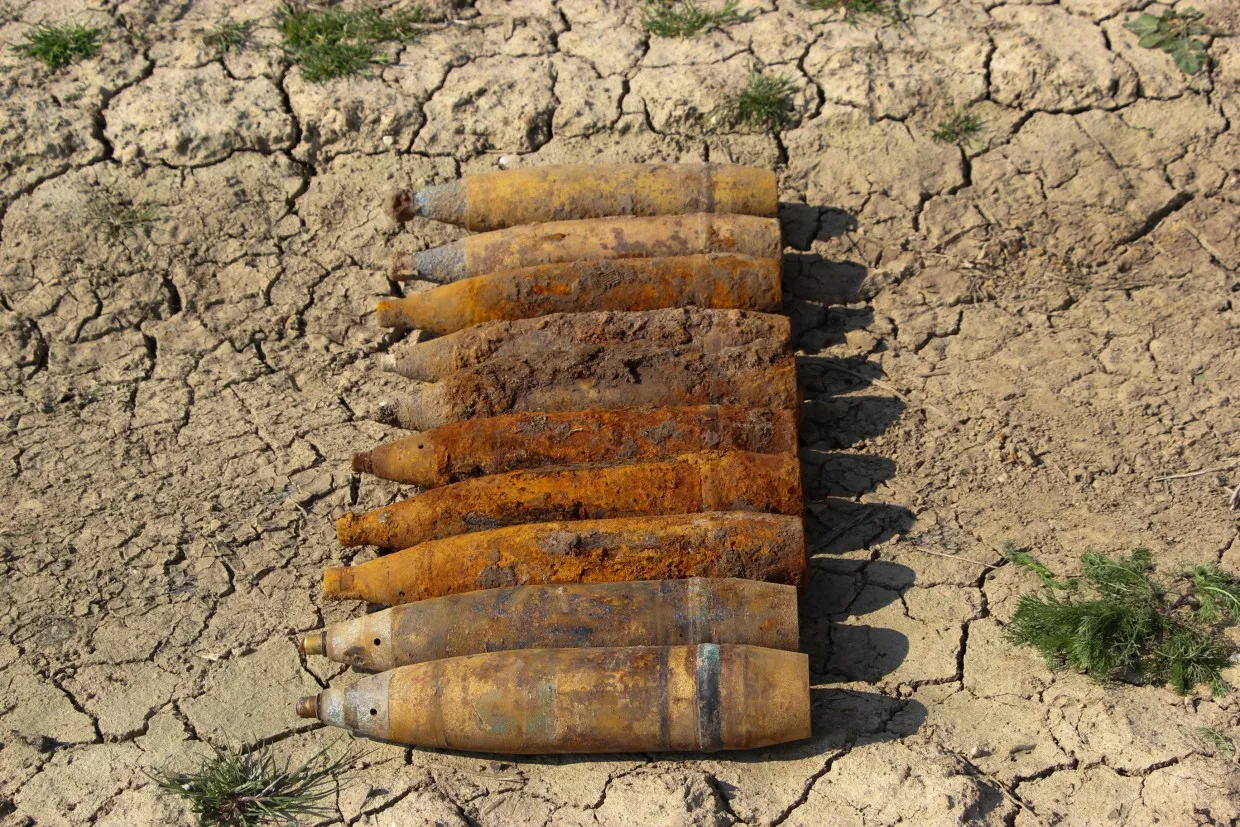 gje5riq52012b3jv2mir0juw9 bngtom hesselimg4373