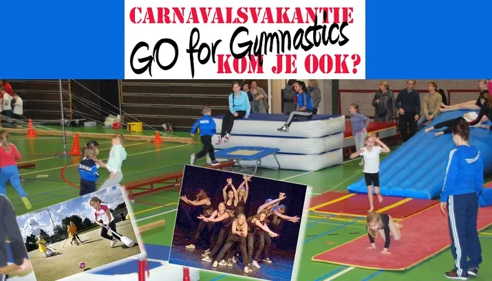 go for gymnastics