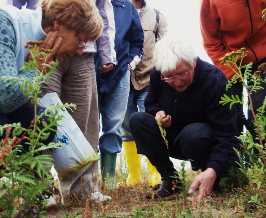 gpap6n2tza6foa67ggvt4o9e8 kokenwildeplanten