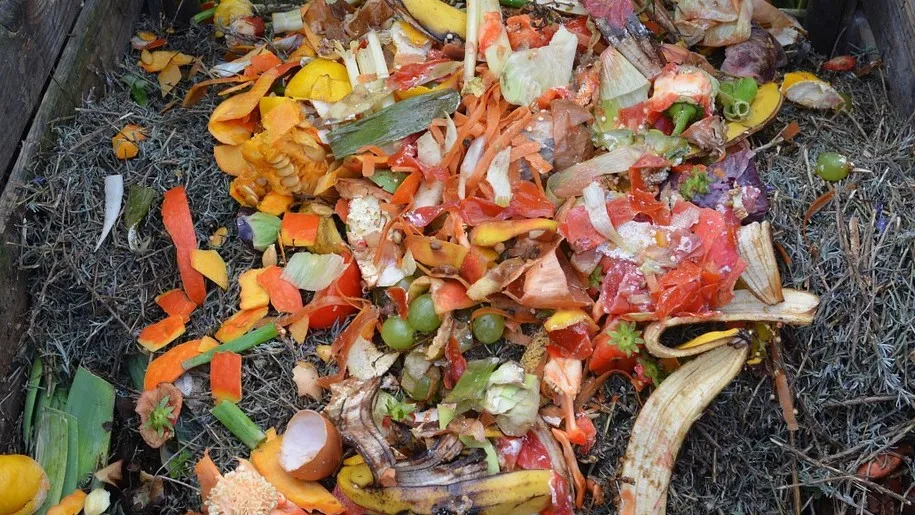 green waste 513609 1280 e1434377363213