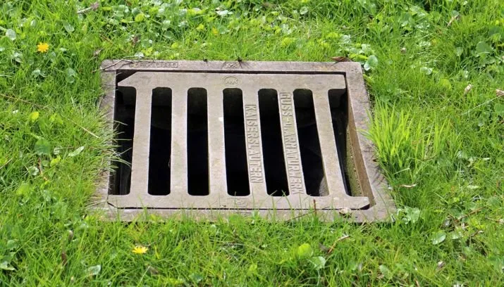 gulli 302164 960 720 715x408