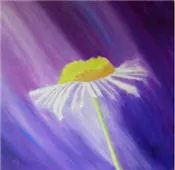 hc5hkukdu6mmi389rbjmuw8rx 31573