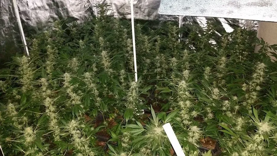 hennep klaproosstraat e1450741272779