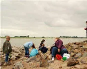 hflrm3ue1cegb32e2smsz4fqu 57348