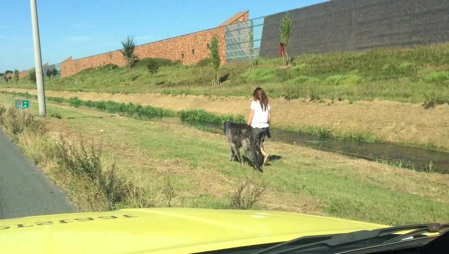 honduitlatena73 e1473680797177