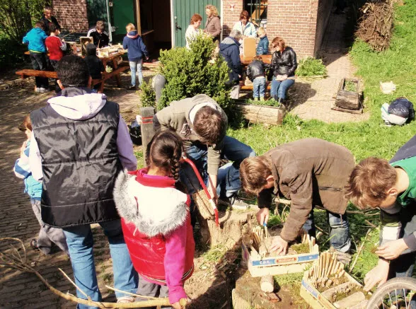 ibfd1bhhvj425pmryu54kd3hl insektenhotel