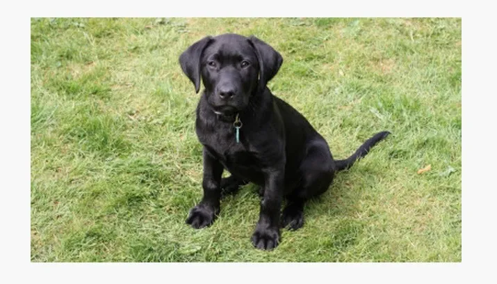 id 10018395 james barker freedigitalphotots net 715