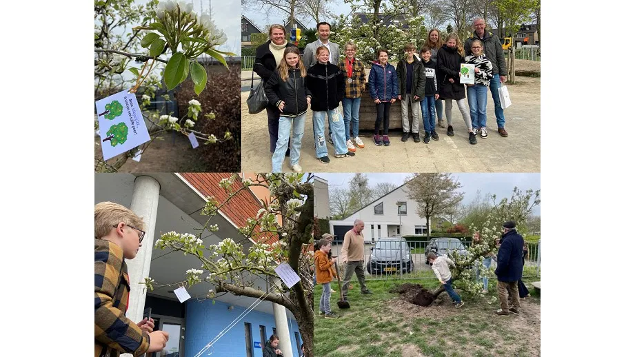 ik vind jou een toffe peer