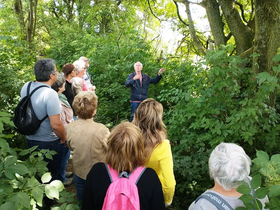 img 20220612 142202511