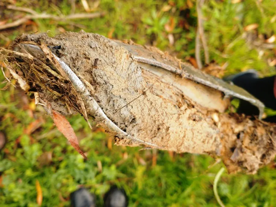 img 20221107 1324075082