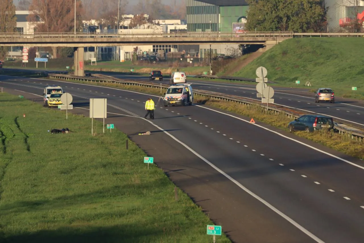 img 20221113 110644 994