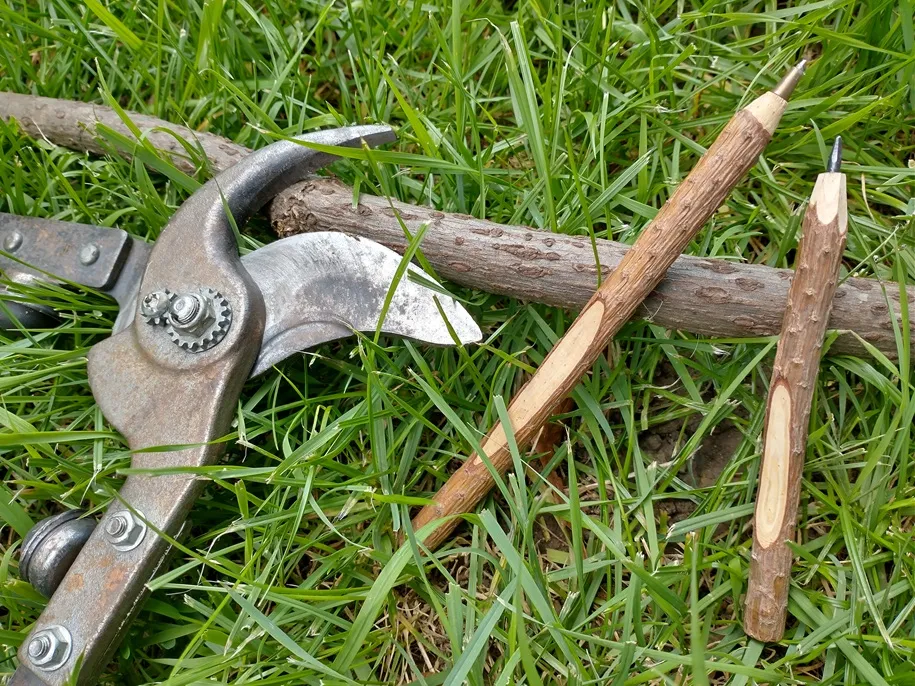 img 20230829 153653077 hdr