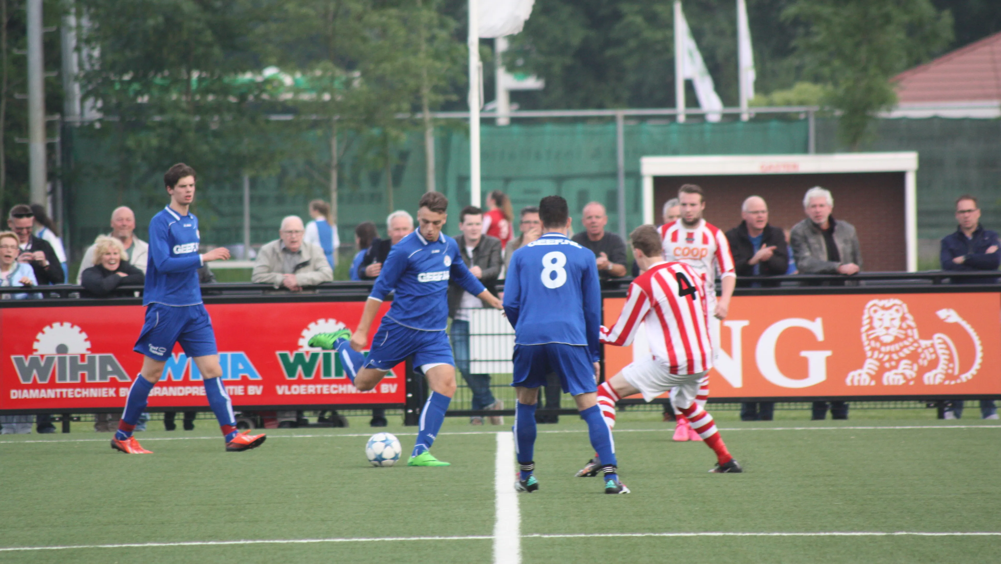 img 2289 e1464358253585