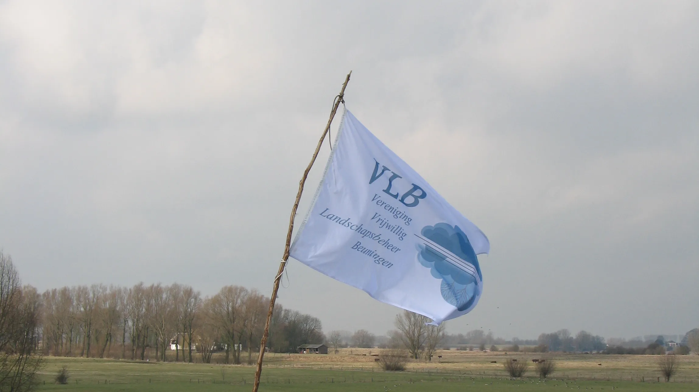 img 6741 e1441838085329