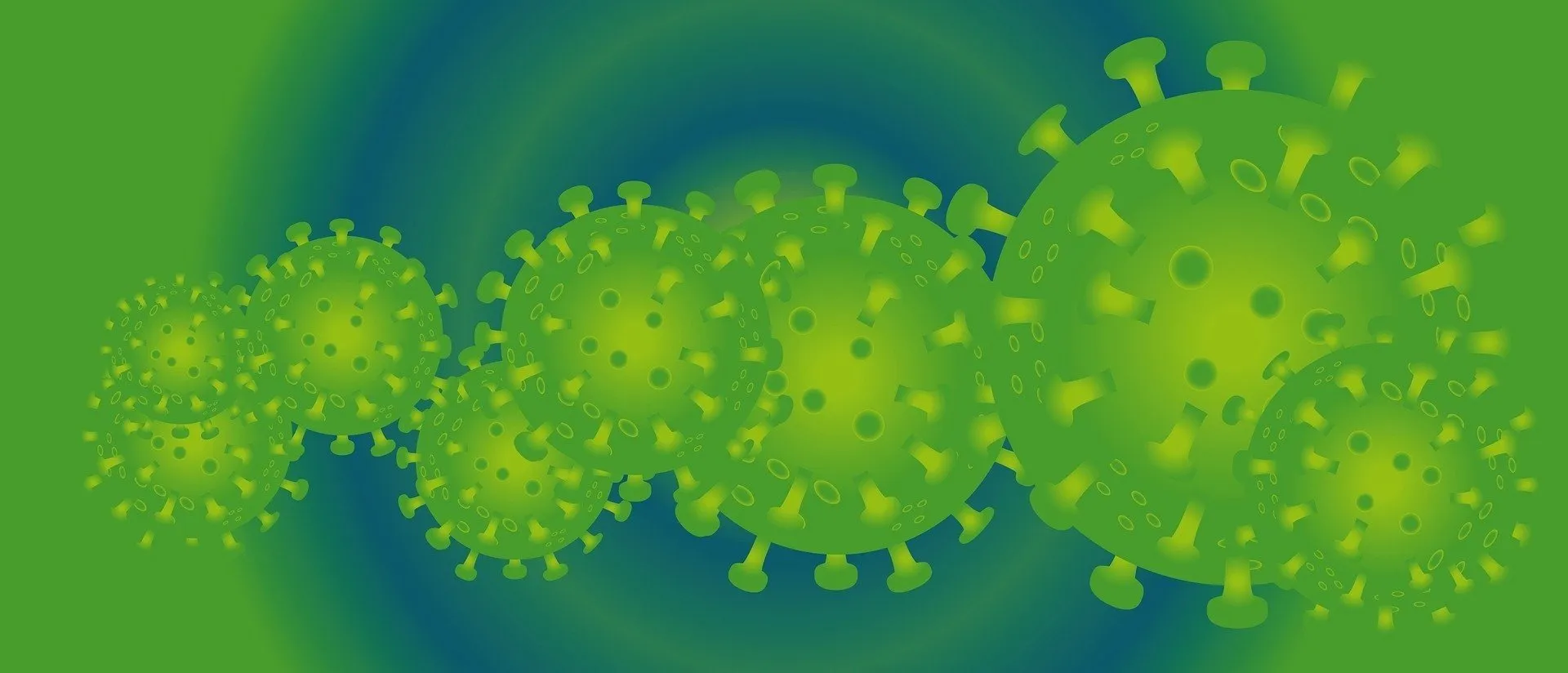 informatie over het coronavirus