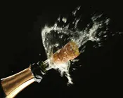 j13xhpcojiaw52saset96zbk6 12746