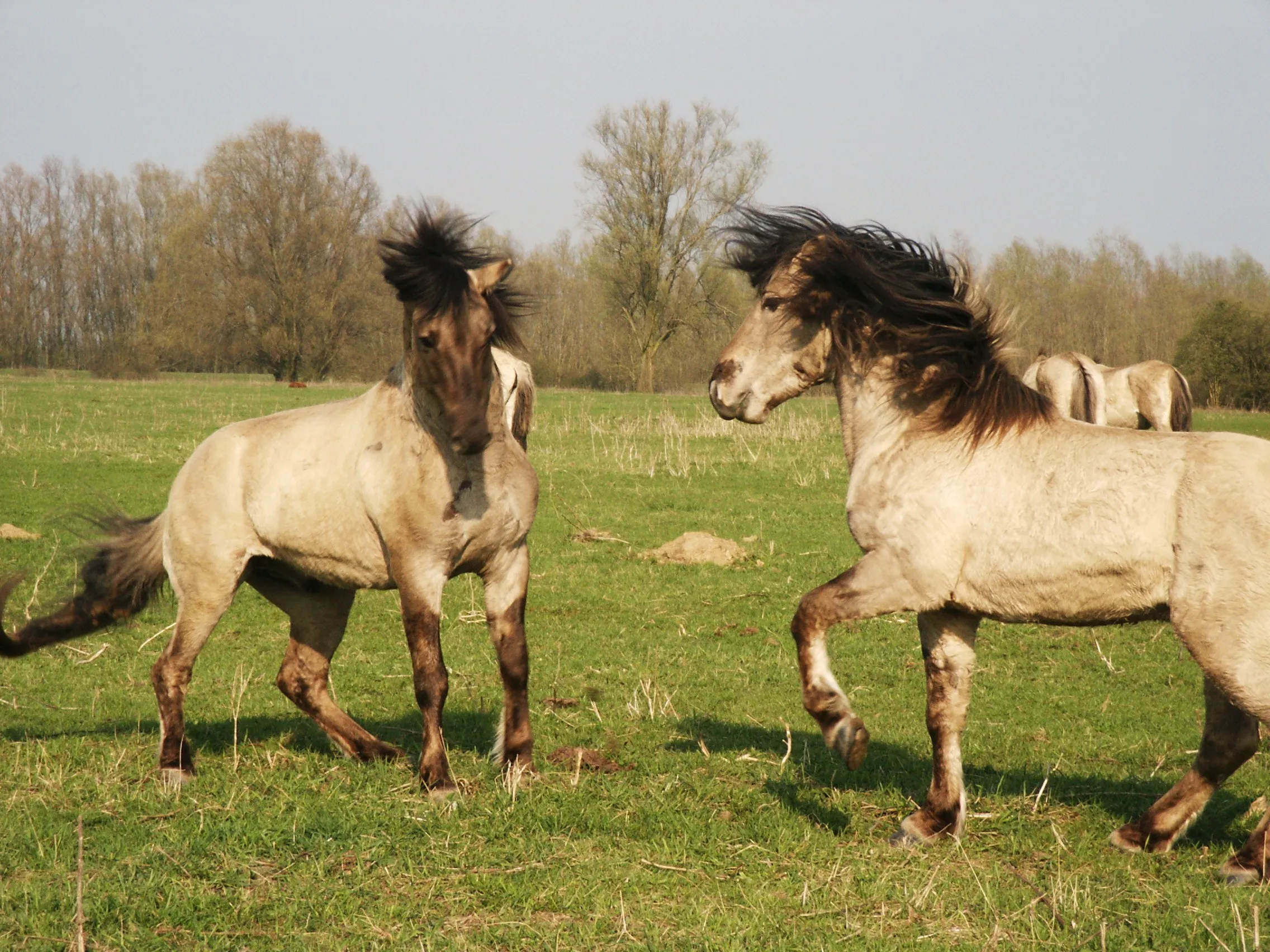 j1oiv6e5n8ut962s8qoragdsf fotodijkm2014 05 04struintocht1