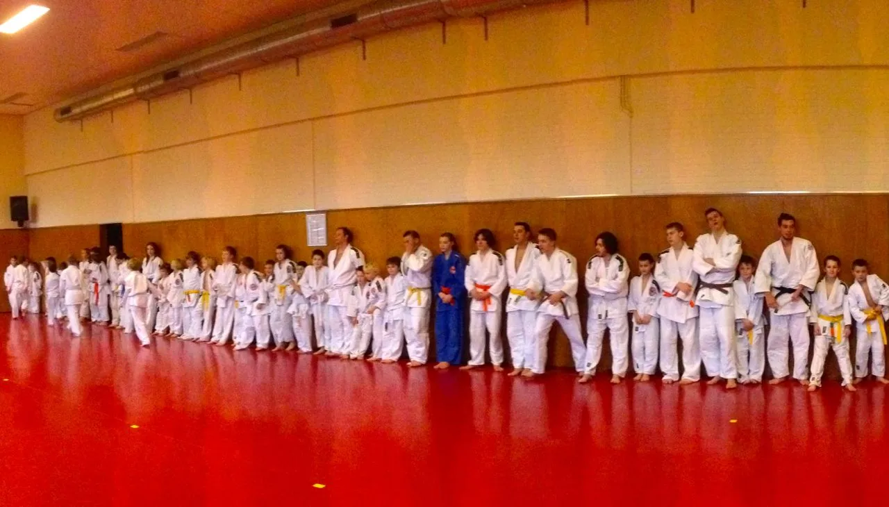 j9ju2rota4ahdegf6p0sgngti afbeelding 9 13