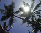 juk97f5z8zn7lc8jg14eswgzg 7352