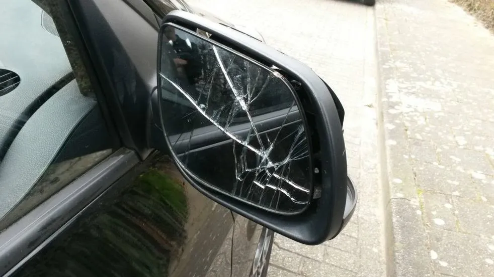 kapottespiegelrietdekker e1459624150342