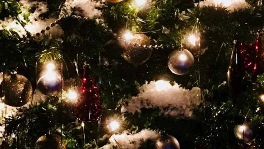 kerstboom 915x518