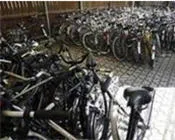 kk4zcim3d5zc7g7n2kgl0nebt 46666