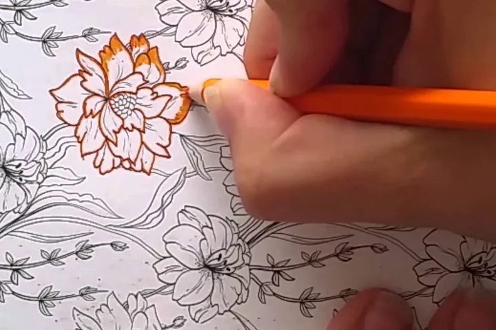 kleuren voor volwassenen