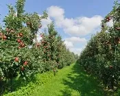 klwsdxmnk0pxl3645ptwnk3nz 165545