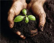 kvmsdplitqx85oktc8cf84ds9 8336