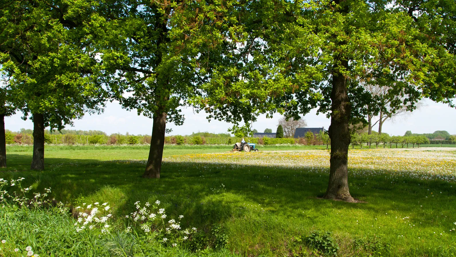 landschap e1433444749238