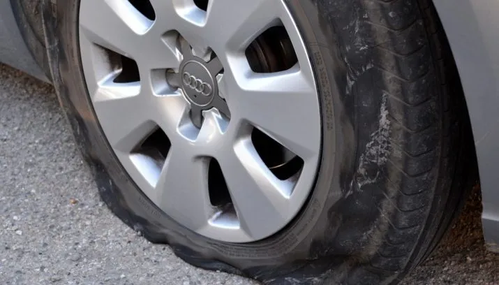 lekke band ben kerckx pixabay 715x408