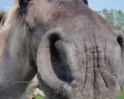 ll90zukww91m3s55j55ybsl9d 129220