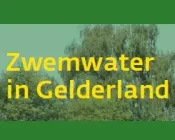 lwp8u10pcbnwolum8j80w94mr 141630