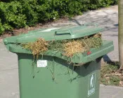 ly2g2ddqz30maxf1a8of6tifh 136714